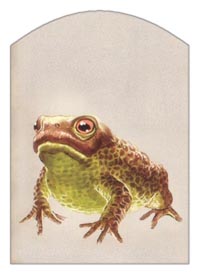 emergency_toad_token.jpg