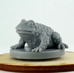 Toad