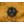 Draconic Lord Card Draconic Lord Card