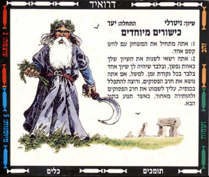 Character Card