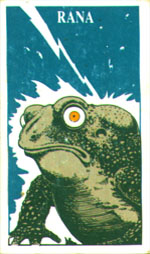 Toad Back