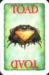Toad Back